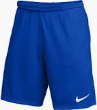 NIke Blue Shorts